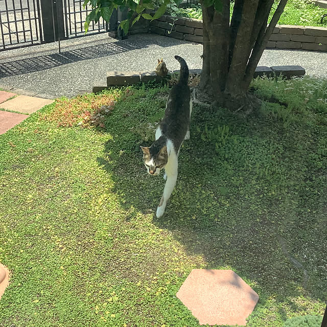 haruminさんの部屋