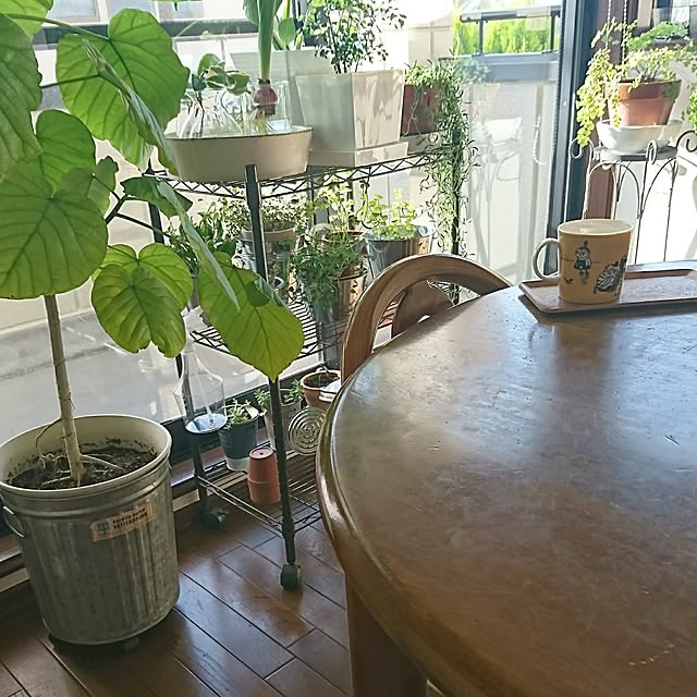 Kさんの実例写真