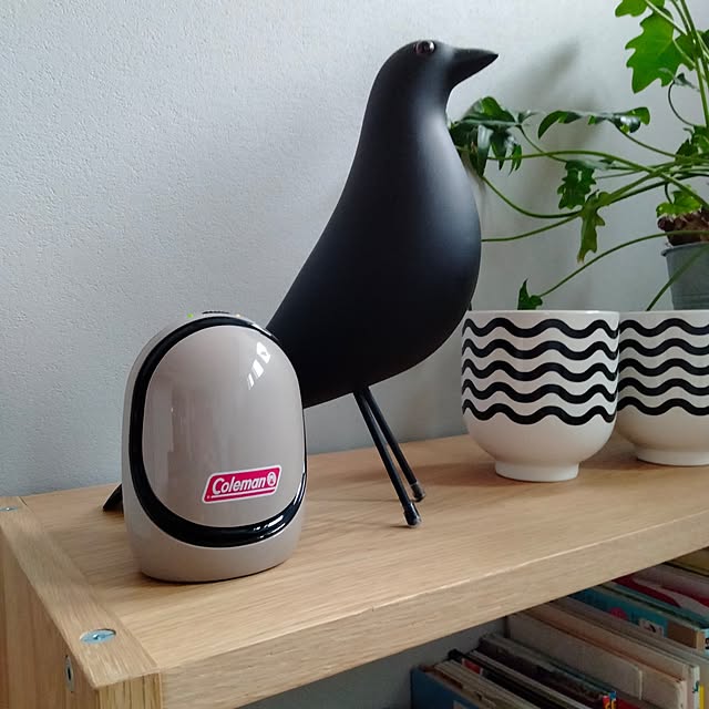 Ofukusanさんの部屋