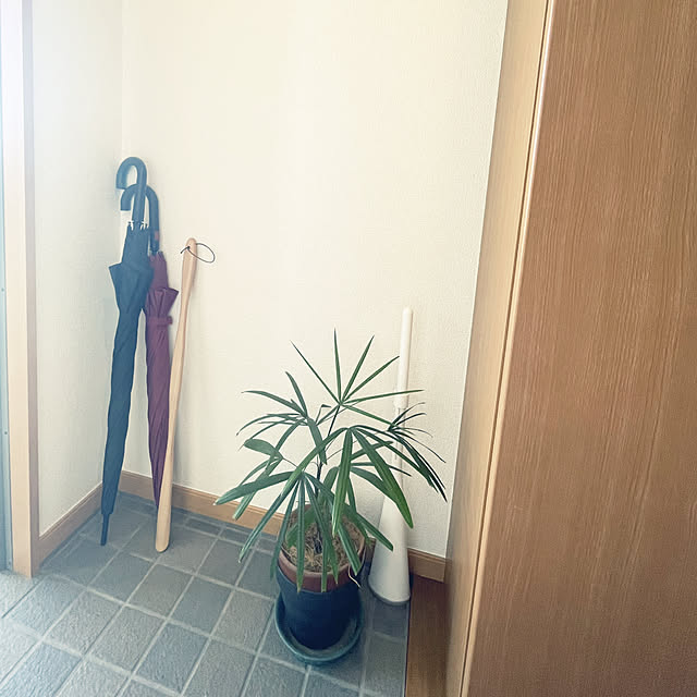 akoさんの部屋