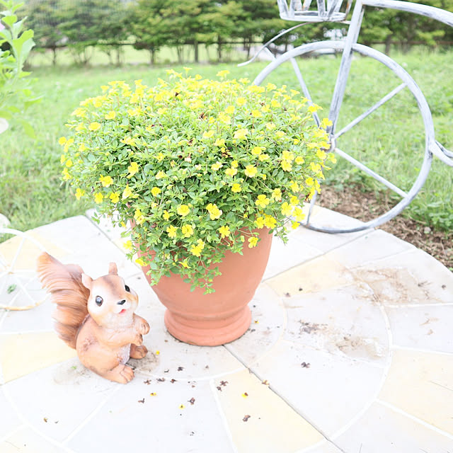 S.homeさんの実例写真