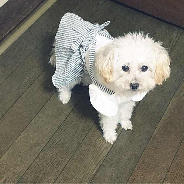 flowerさんの実例写真