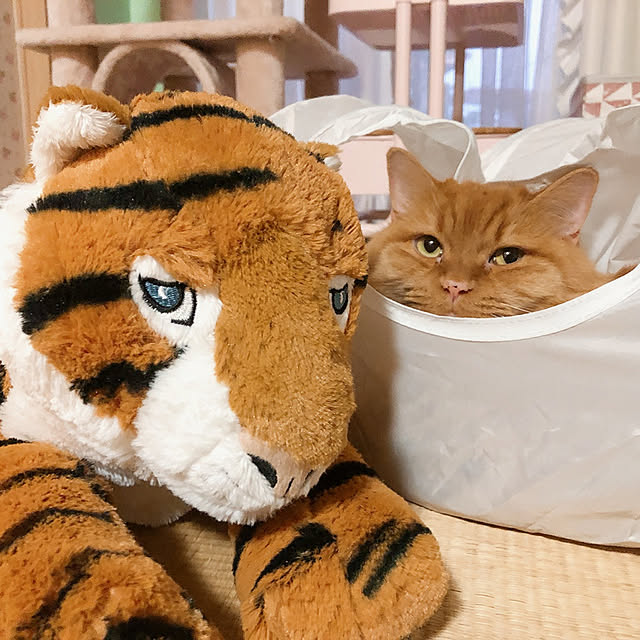 mipon0924さんの実例写真