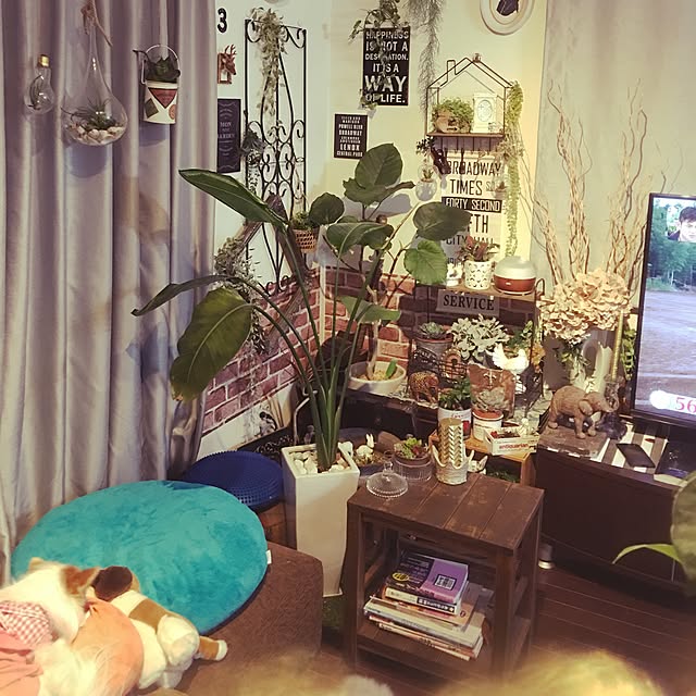 Taekoさんの実例写真