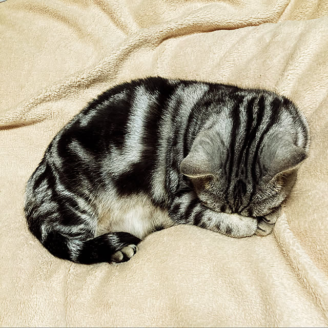 kajikaji103さんの実例写真