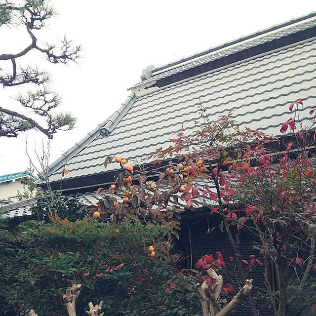 firoichiさんの実例写真