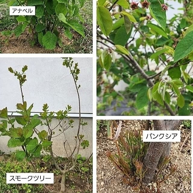 chiii13さんの部屋