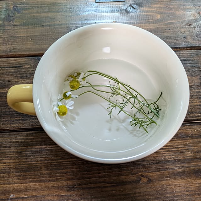 mori_6_12さんの部屋