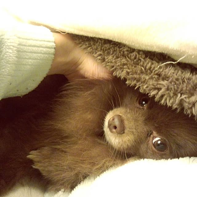 ariさんの実例写真