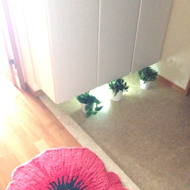 grossさんの実例写真