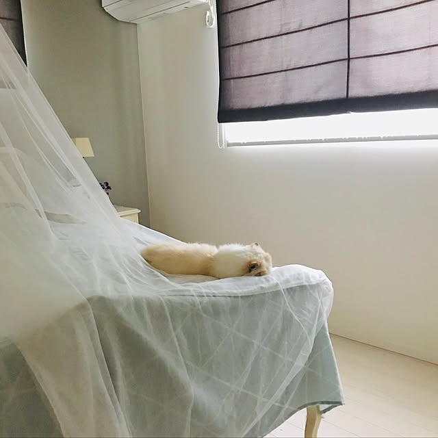 hinamama5さんの実例写真