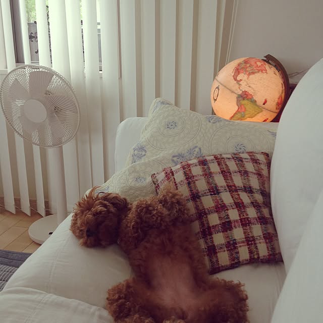 CHERRYさんの実例写真
