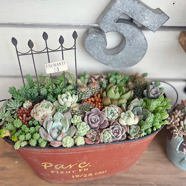 akko1205さんの実例写真