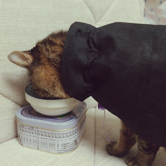 kittenblueさんの実例写真