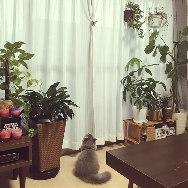 Miki-Ginさんの実例写真