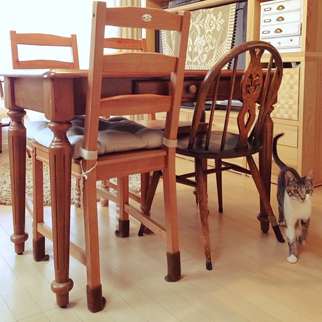 hachiさんの実例写真