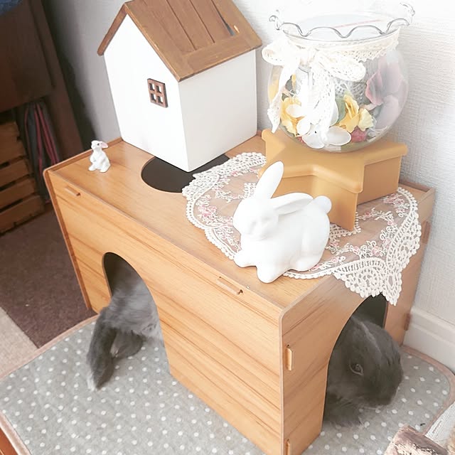 kirariさんの実例写真
