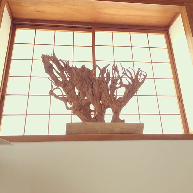 emiさんの実例写真