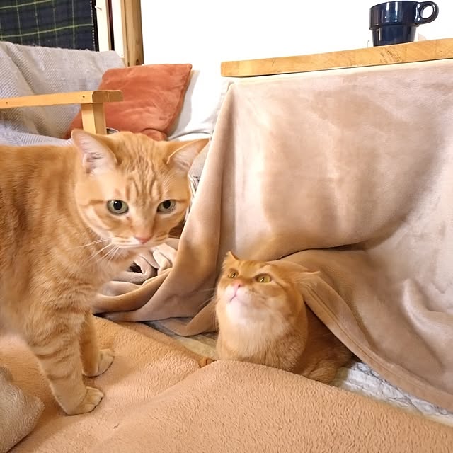 mayutan.さんの部屋