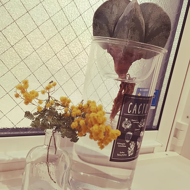 merry.1104さんの実例写真