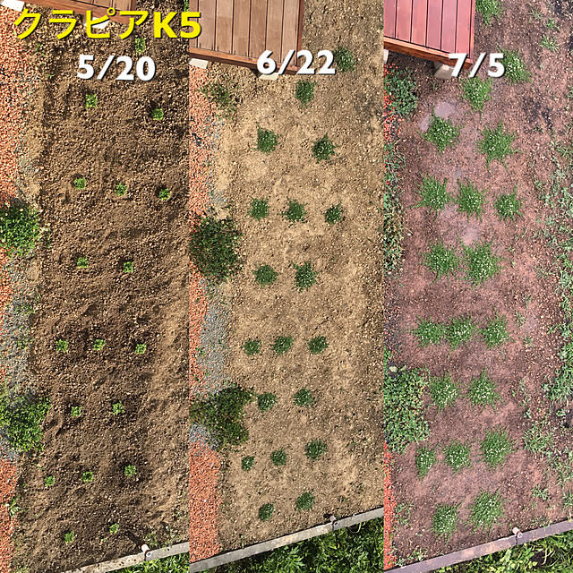 dokupin117さんの実例写真