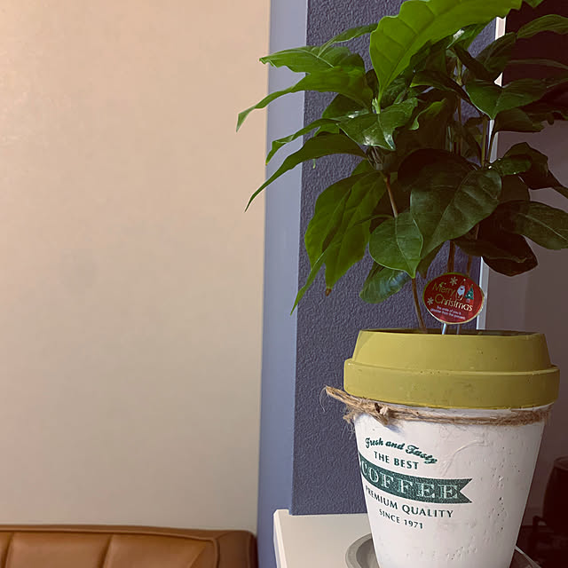 RSmamさんの実例写真