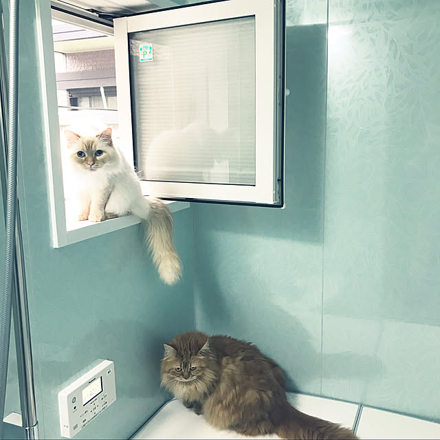 sarichanさんの実例写真