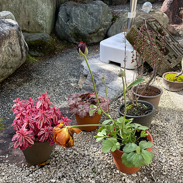 shin0719さんの実例写真