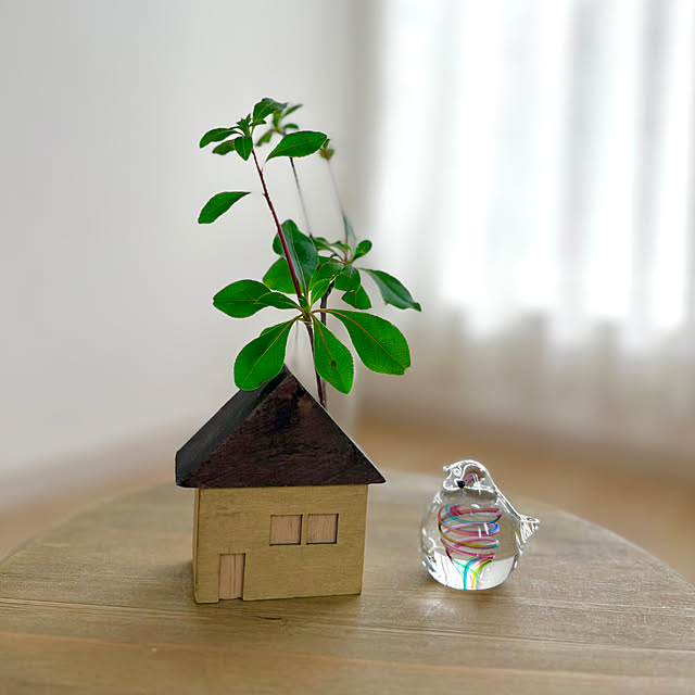 miminkoさんの部屋