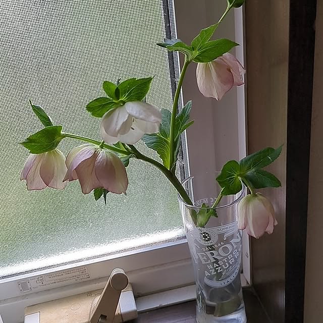 minnieさんの部屋