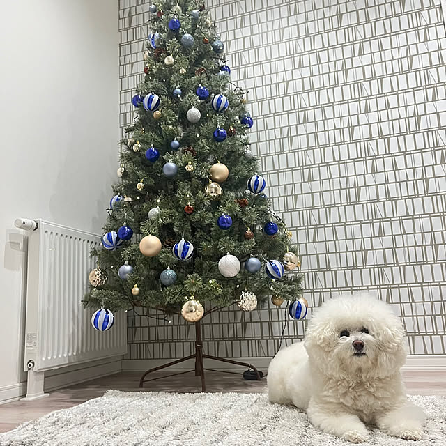 unichanさんの部屋