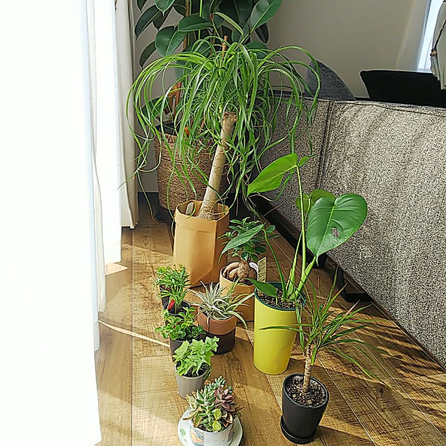 tamaさんの実例写真
