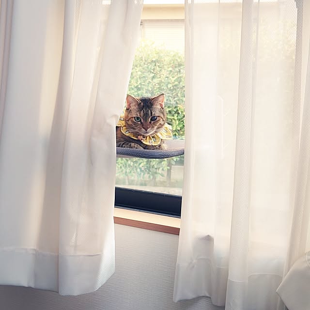 mochicoさんの実例写真