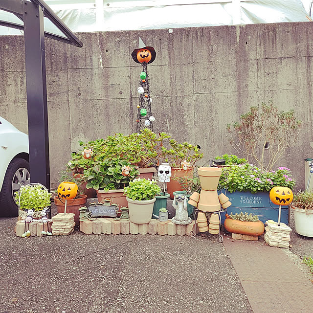 hiro509taju79さんの実例写真