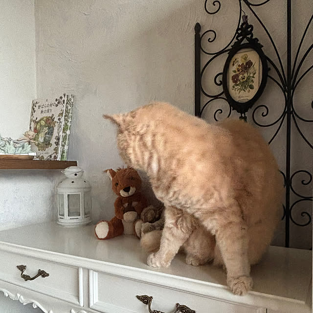 naokoさんの部屋