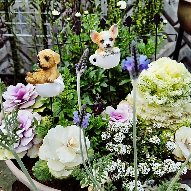 katさんの部屋