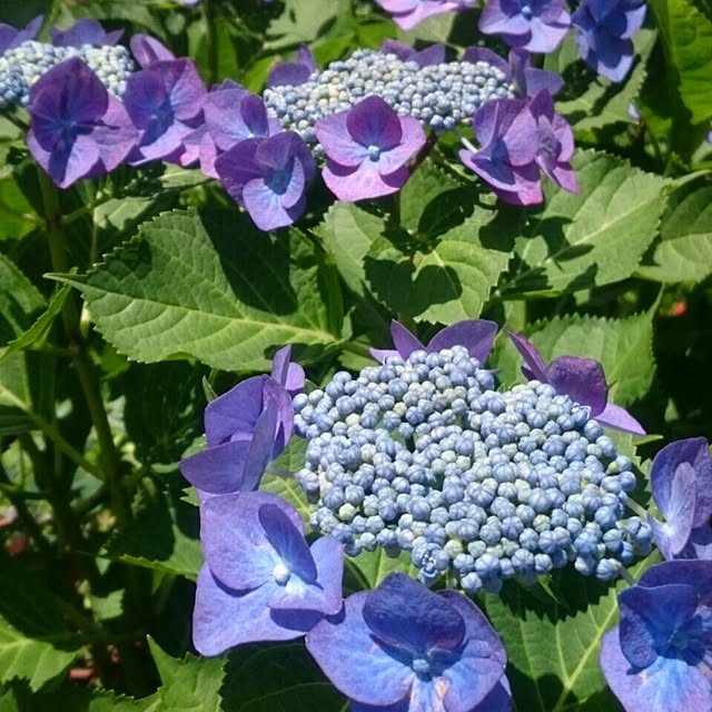 NATUさんの実例写真