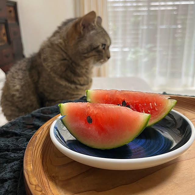 kuuさんの部屋
