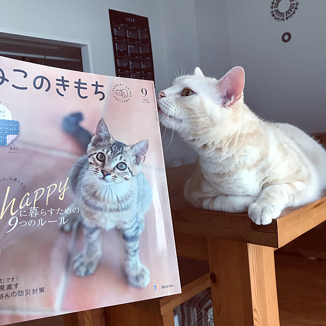 hiyupan88さんの実例写真