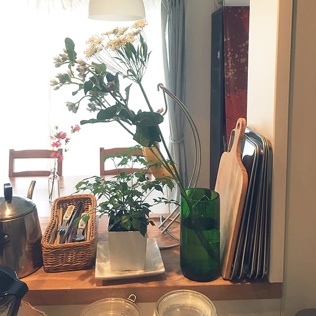 実例写真