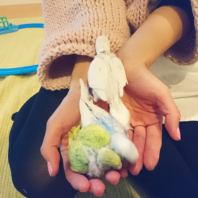 Minakoさんの実例写真