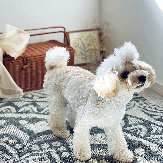 ma...さんの実例写真