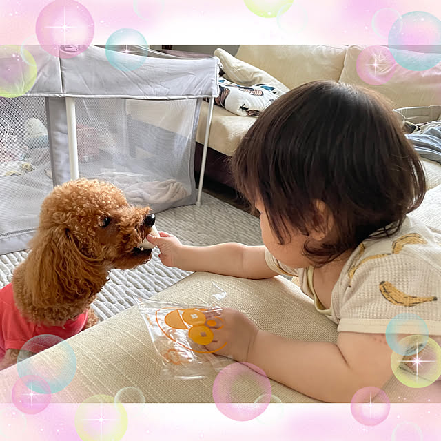 yukichi.wanwaさんの部屋