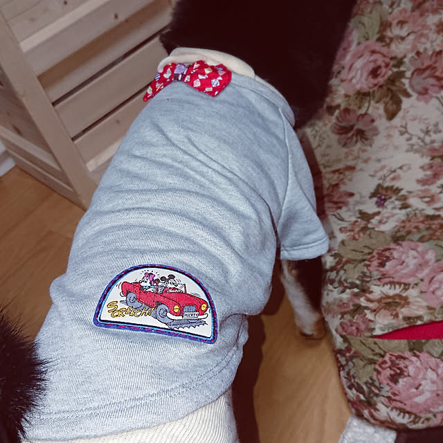 xxxakyxxxさんの実例写真