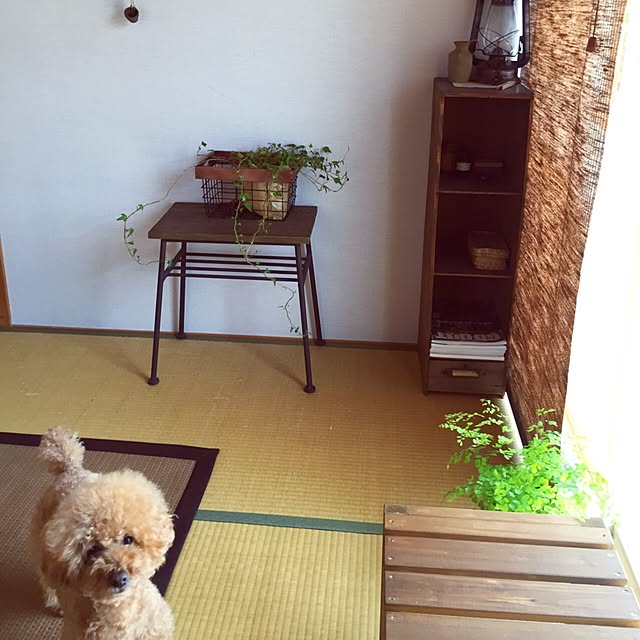 rookuさんの実例写真