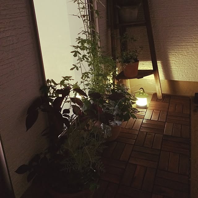 Ko-TaRoさんの実例写真