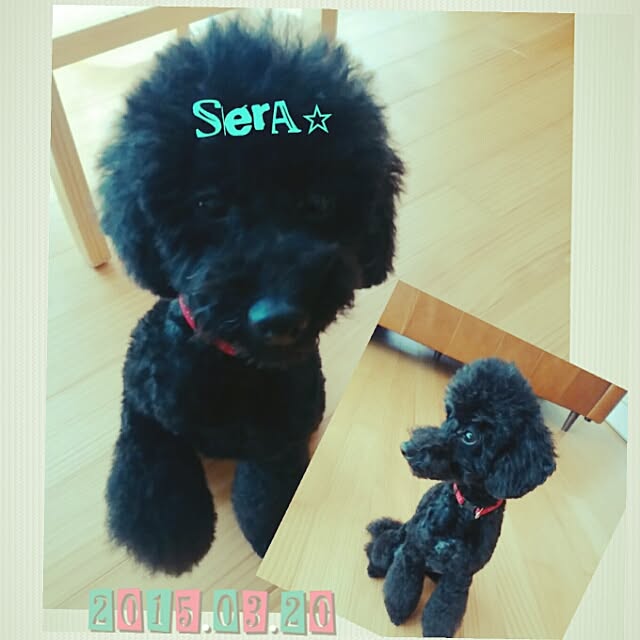 ChocolateNandasさんの実例写真