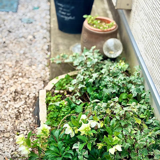 sagocchiさんの実例写真