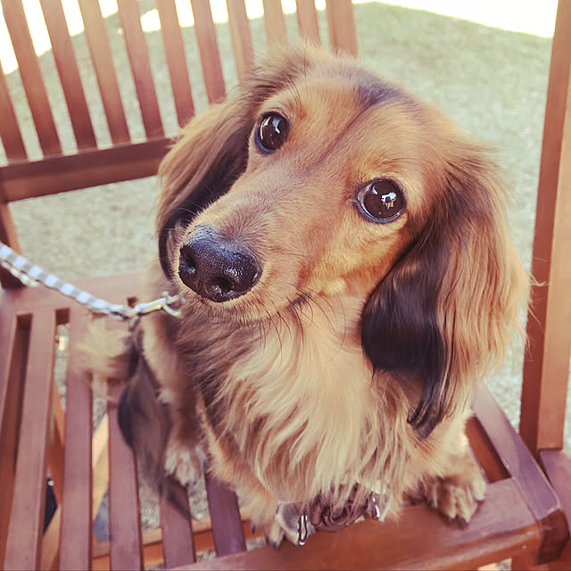 maronさんの実例写真