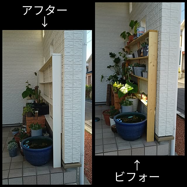 soyokoさんの実例写真